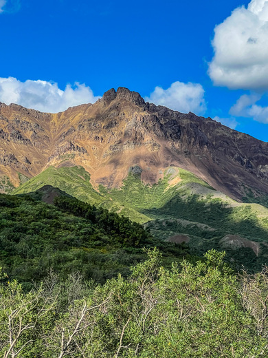 Denali National Park and Preserve