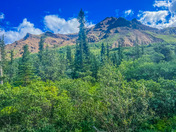 Denali National Park 