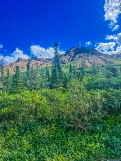 Denali National Park 