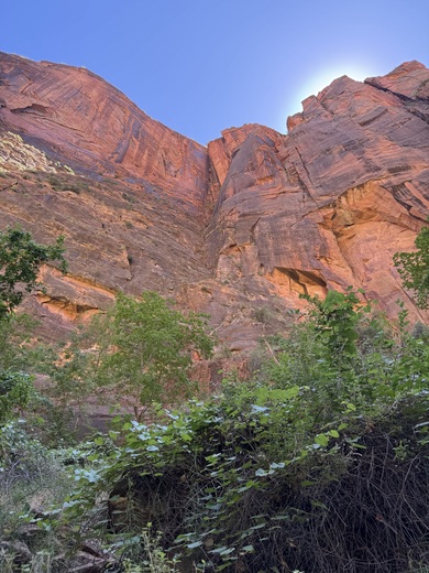 Zion National Park