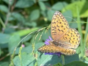 Glacier National Park