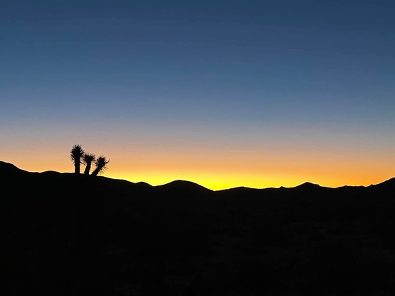 Joshua Tree National Park