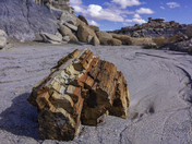 Petrified Forest National Park