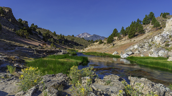 Inyo National Forest