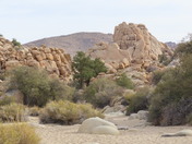 Joshua Tree National Park