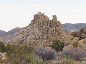 Joshua Tree National Park 