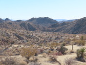 Joshua Tree National Park 