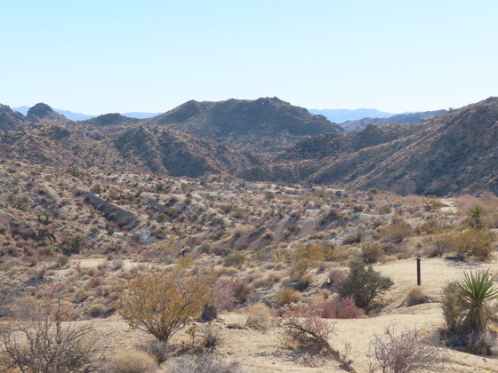 Joshua Tree National Park 