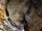 Mammoth Cave National Park 