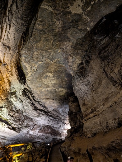 Mammoth Cave National Park 