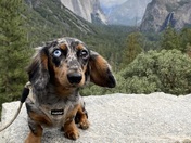 Yosemite National Park