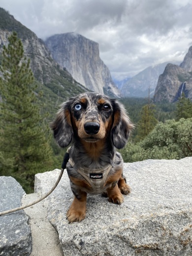 Yosemite National Park