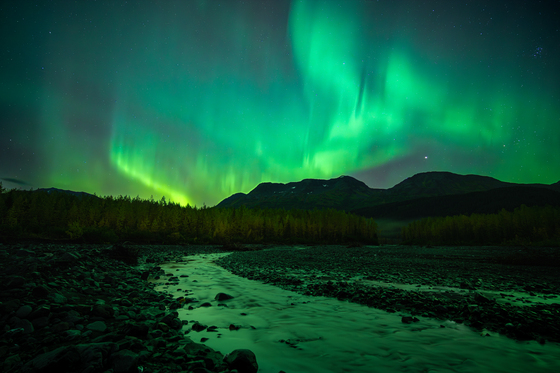 Kenai Fjords Nation Park