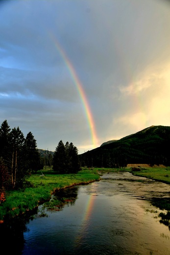 Yellowstone National Park
