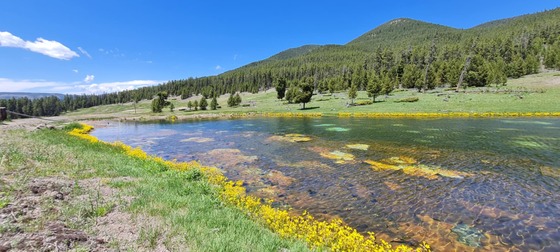 Yellowstone National Park