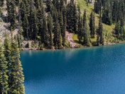 Okanigan-Wenatchee National Forest
