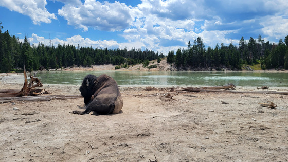 Yellowstone National Park