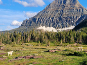 Glacier National Park 