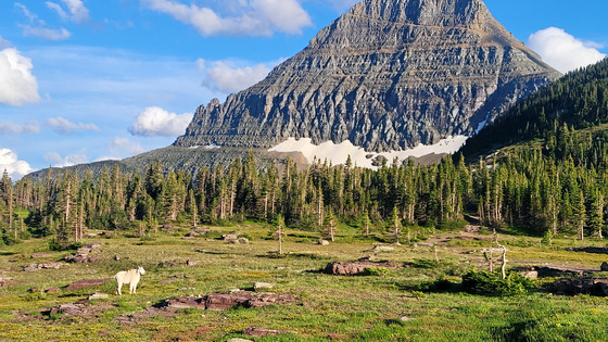 Glacier National Park 