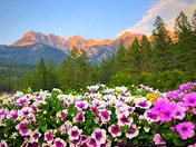 Glacier National Park 