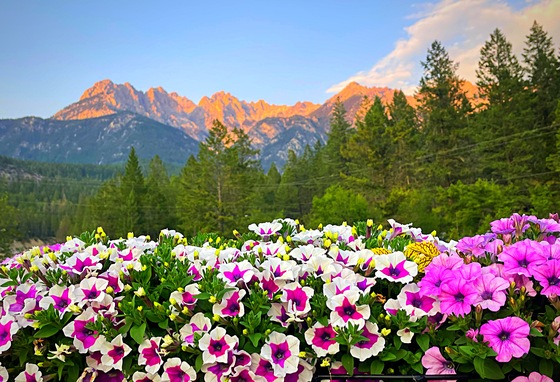 Glacier National Park 