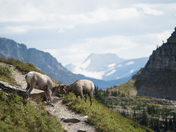 Glacier National Park