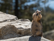 Grand Teton National Park