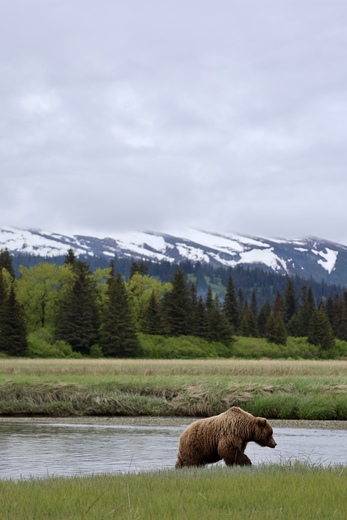 Lake Clark National Park