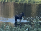 Great Teton National Park