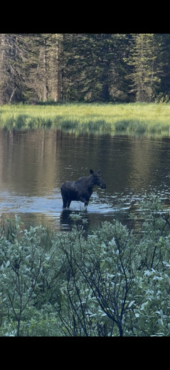 Great Teton National Park