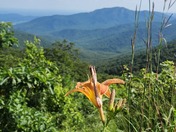 Shenandoah National Park 