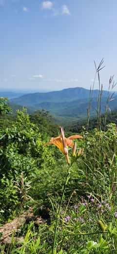 Shenandoah National Park 