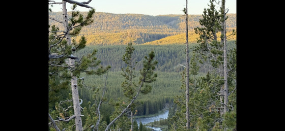 Yellowstone National Park 
