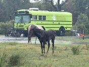 Assateague Isalnd National Seashore