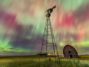Alberta Aurora