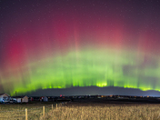 Alberta Aurora