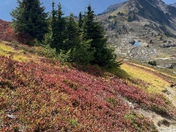North Cascades National Park 