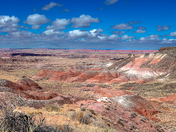 Petrified Forest National Park
