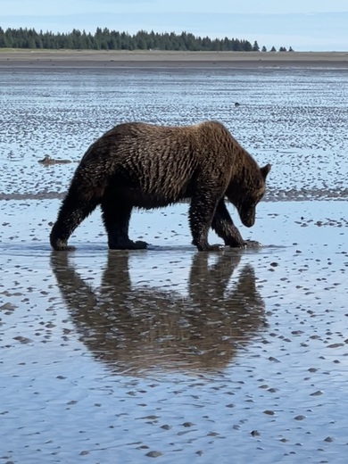 Lake Clark National Park and Preserve 
