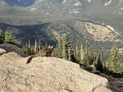 Rocky Mountain National Park