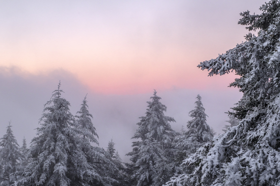 Great Smoky Mountains