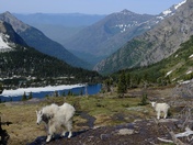 Glacier National Park