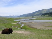 Yellowstone National Park