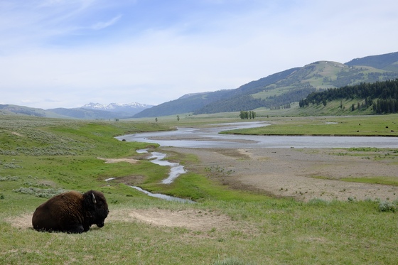 Yellowstone National Park