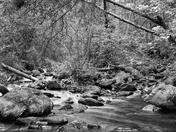 Sangre de Cristo Wilderness