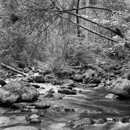 Sangre de Cristo Wilderness