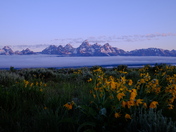 Grand Teton National Park