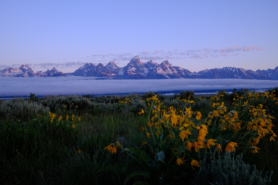 Grand Teton National Park