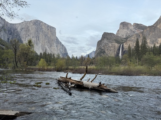 Yosemite National Park