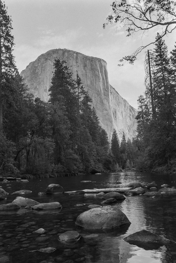 Yosemite National Park